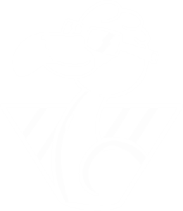Pledge Manager Smart Flamingo